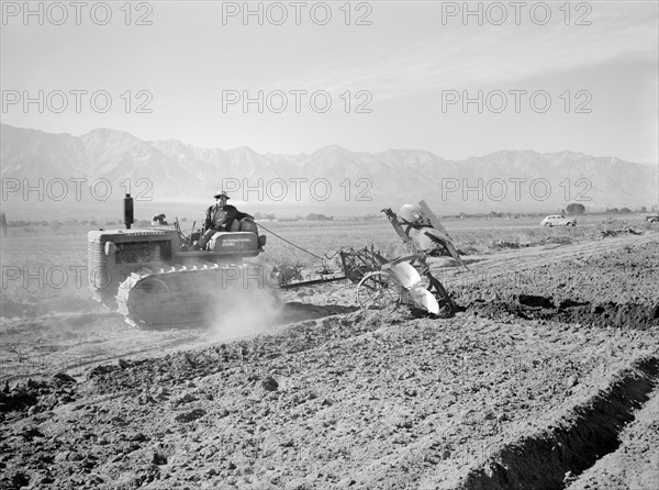 Benji Iguchi driving Tractor