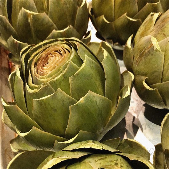 Artichokes