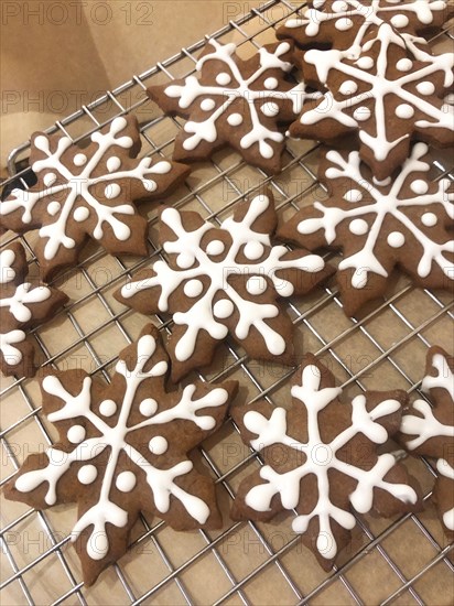 Holiday Gingerbread Cookies with Icing