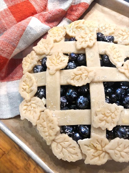 Blueberry Pie with Leaf Crust