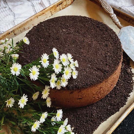 Chocolate Cheese Cake