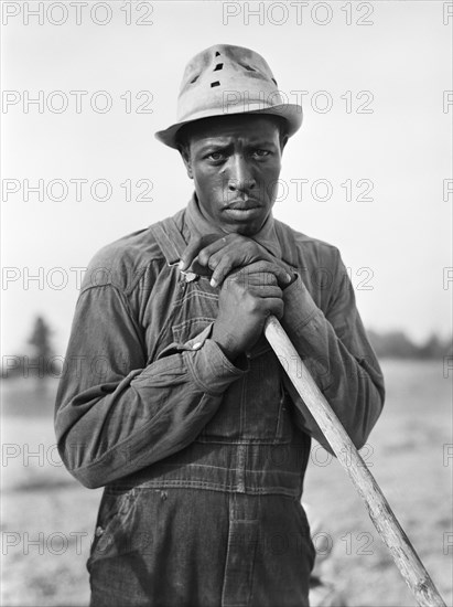 man, farmer, occupations, African-American ethnicity, historical,