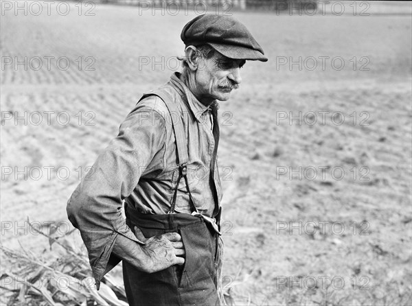 man, farmer, agriculture, field, historical,