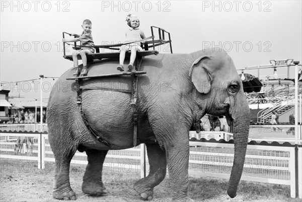 children, elephant, animal, carnival, historical,
