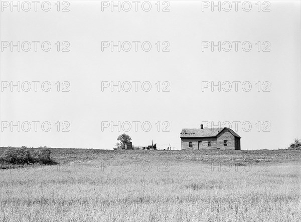 farm, house, agriculture, rural, historical,