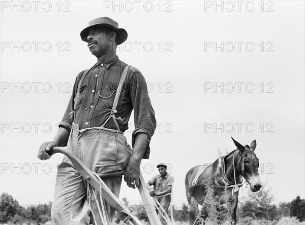 man, African-American ethnicity, farmer, agriculture, historical,