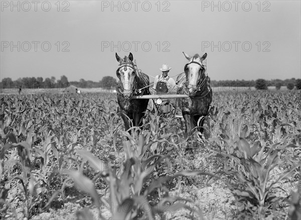 occupations, farmer, agriculture, man, historical,