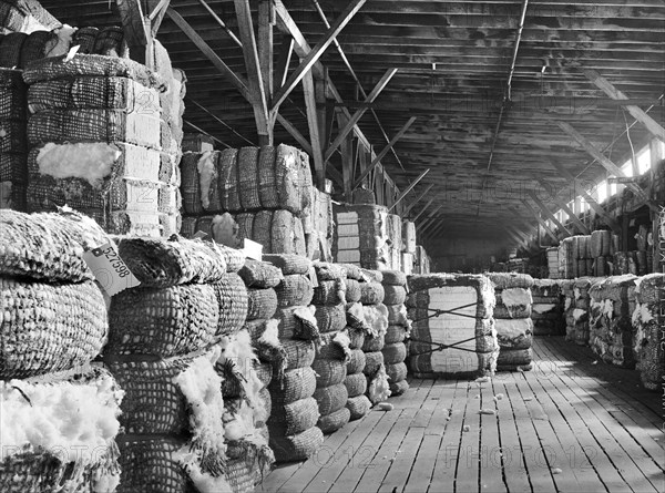 cotton, warehouse, agriculture, textiles, historical,