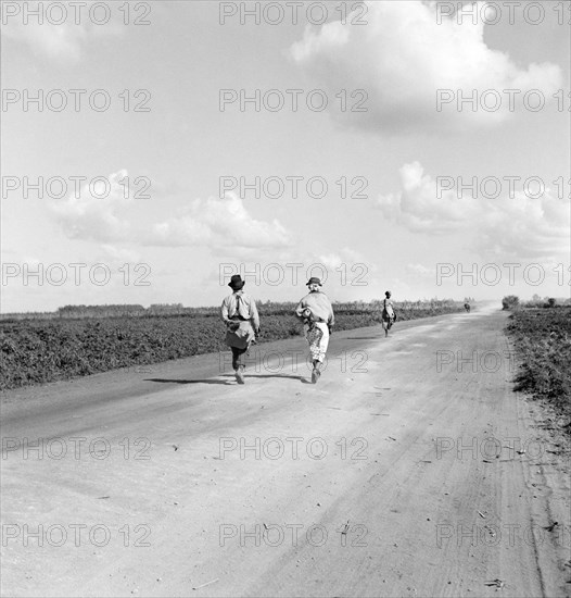 agriculture, farmers, migrant workers, Florida, historical,
