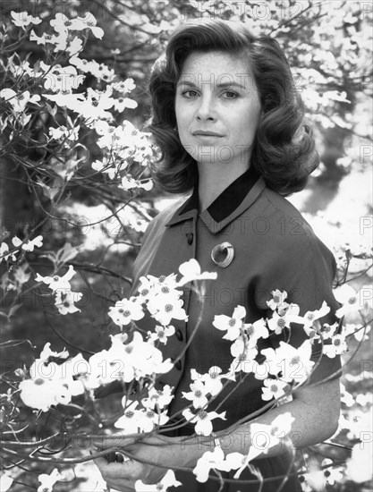 Stephanie Zimbalist, woman, actress, celebrity, entertainment, historical,