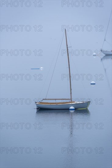 Small Wooden Sailboat moored in Harbor