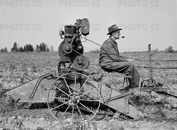 Farmer on horse-drawn Digger on Small Farm near Caribou