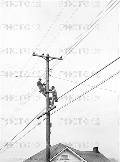 Telephone Linemen