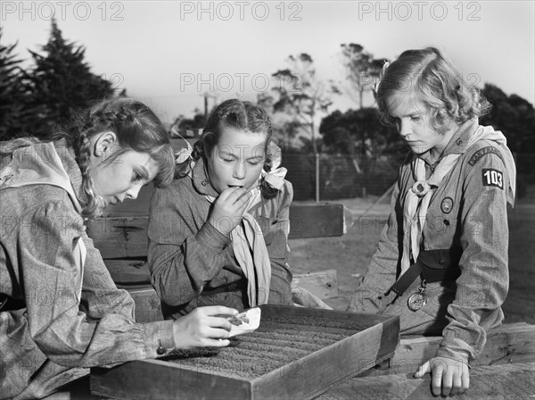 Three Girl Scouts