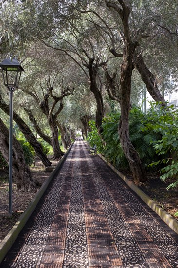 Public Garden Pathway