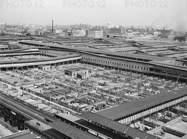 Union Stock Yards