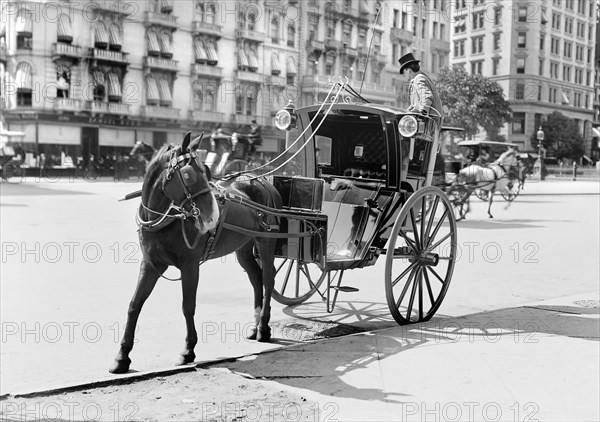 Horse-Drawn Carriage