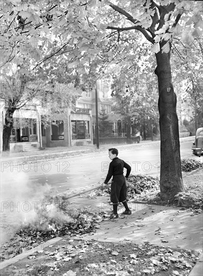 Boy burning fallen Leaves