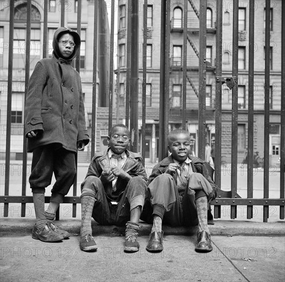 Three Boys Portrait