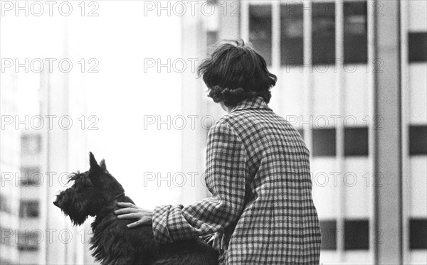 Rear View of Woman sitting with Scottish Terrier