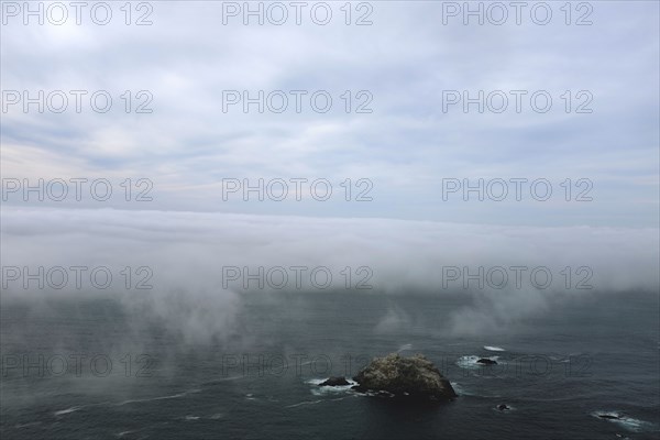 Fog over McWay Cove