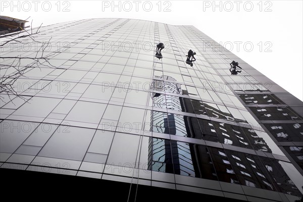 Low Angle View of Three Window Washers cleaning Windows of Modern Building