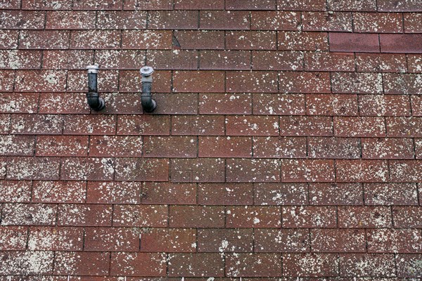 Old Roof with Two Pipes and Lichen