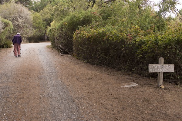 Rear View of Elderly Woman walking on Dirt Road with the aid of Walking Canes