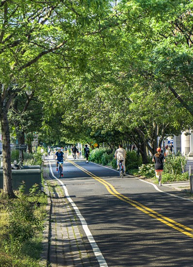 West Side Bicycle Lanes