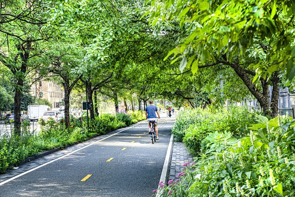 West Side Bicycle Lanes