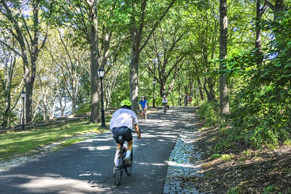 Bicycle Path