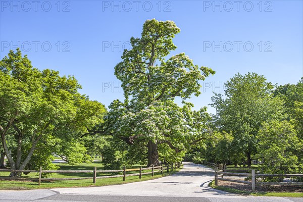 Scenic Campus Landscape