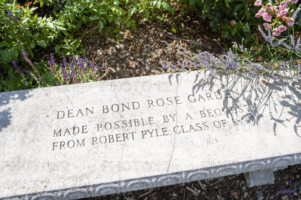 Stone Bench Detail