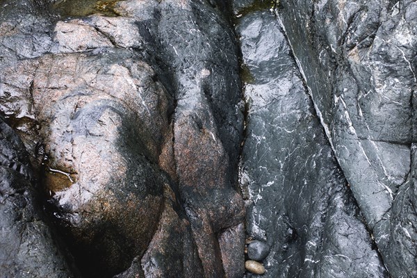 Wet Rocks on Beach