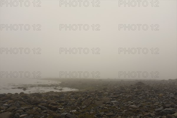 Heavy Fog during Low tide at Beach