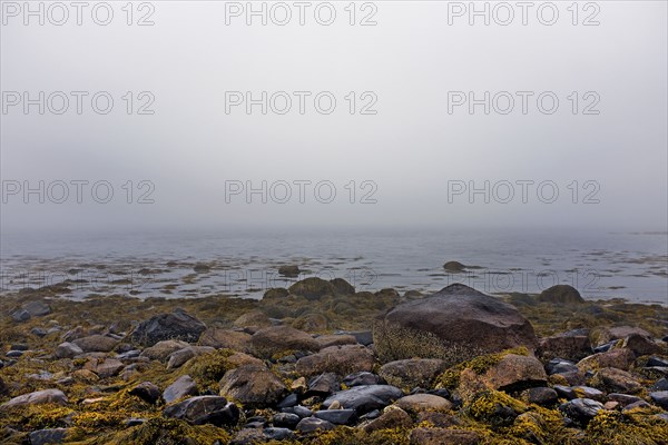 Heavy Fog during Low tide at Rocky Beach