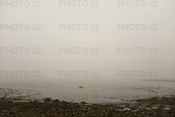 Heavy Fog at Beach
