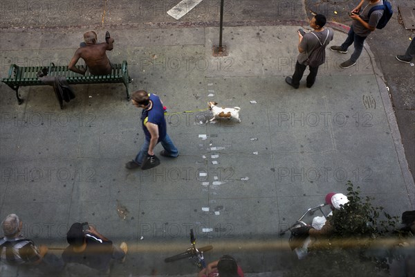 High Angle View of Man walking Dog while people wait for Bus