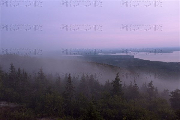 Foggy Landscape at Sunrise with Bar Harbor