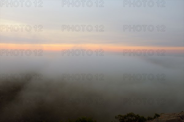 Fog and Sunrise