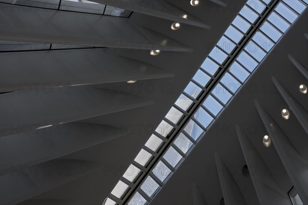 Low Angle View of Ceiling Detail