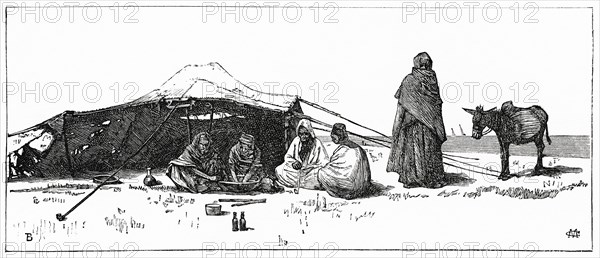 Bedouin Camp near Cairo