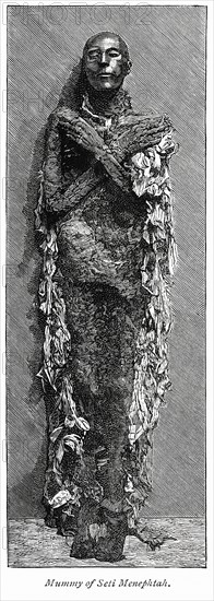 Mummy of Seti Menephtah (Seti-Merenptah)