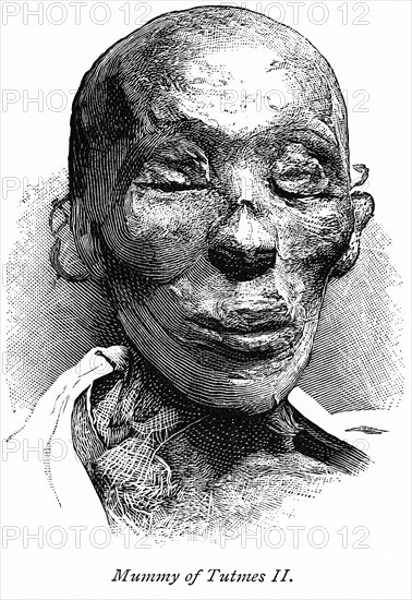 Mummy of Tutmes II (Thutmose II)