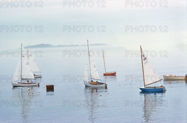 Sailboats