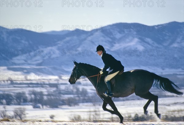 Equestrian riding Horse