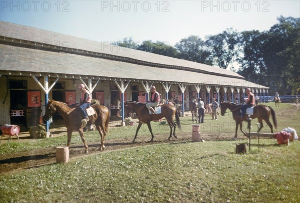 Jockeys on Horses