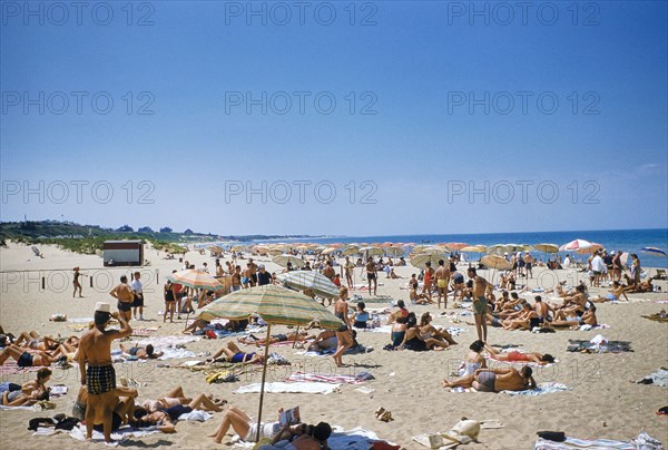 Beach Scene