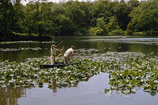 Carp Fishing with Bow and Arrow