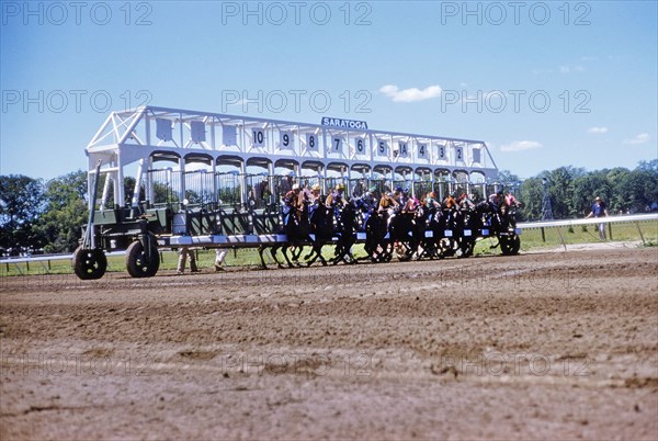 Start of Horse Race